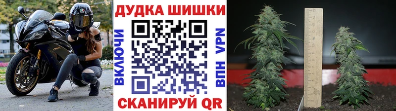 Гашиш Пошехонье