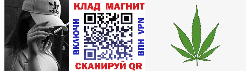 Где купить наркоту Пошехонье Каннабис ГАШИШ