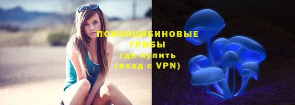 а пвп мука Алзамай